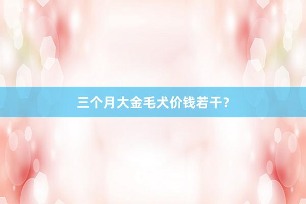 三个月大金毛犬价钱若干？