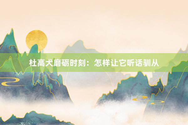 杜高犬磨砺时刻：怎样让它听话驯从