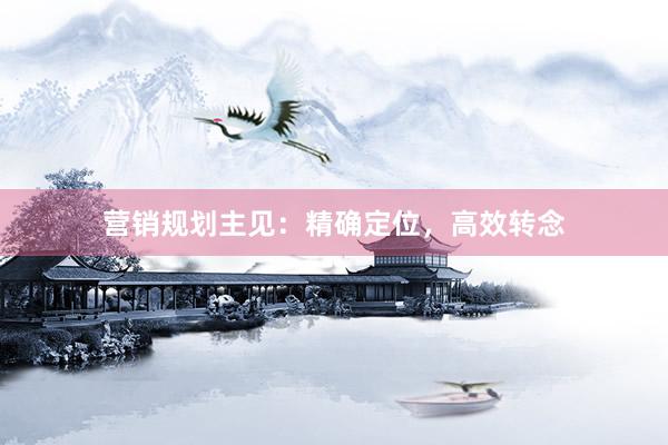 营销规划主见：精确定位，高效转念